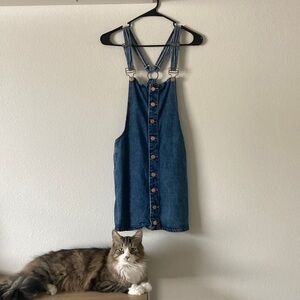 Cute overall dress - cat not included!